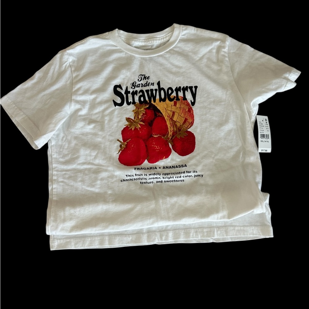 PACSUN kids XXL 14/16 T-shirt
